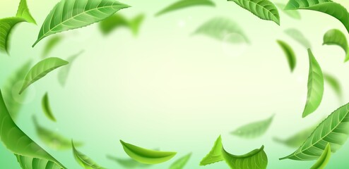 Flying leaves background. Realistic air environment with blurred tea foliage. Vivid organic backdrop with copy space and botanical elements. Natural plant greenery. Vector illustration