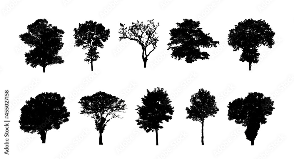 Poster set of trees silhouette for brush on white background