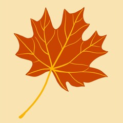 Simplicity maple leaf freehand drawing flat design.
