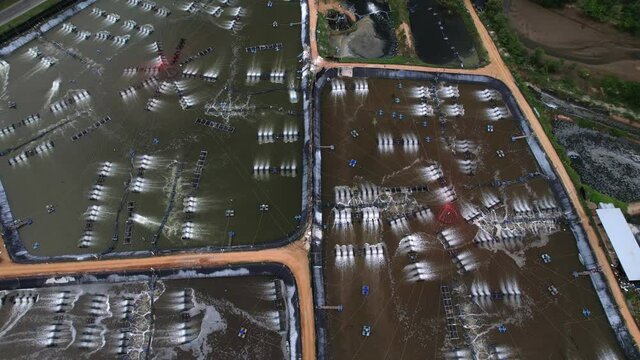 shrimp farm, prawn farming with with aerator pump oxygenation water near ocean. aerial view fish farm with ponds growing fish and shrimp and other seafood. Fish hatchery pond aerial view aquaculture 