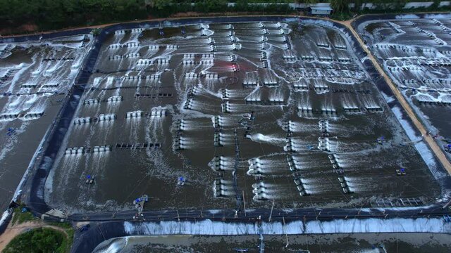 shrimp farm, prawn farming with with aerator pump oxygenation water near ocean. aerial view fish farm with ponds growing fish and shrimp and other seafood. Fish hatchery pond aerial view aquaculture 