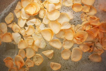 Light orange rose petals on soapy water texture