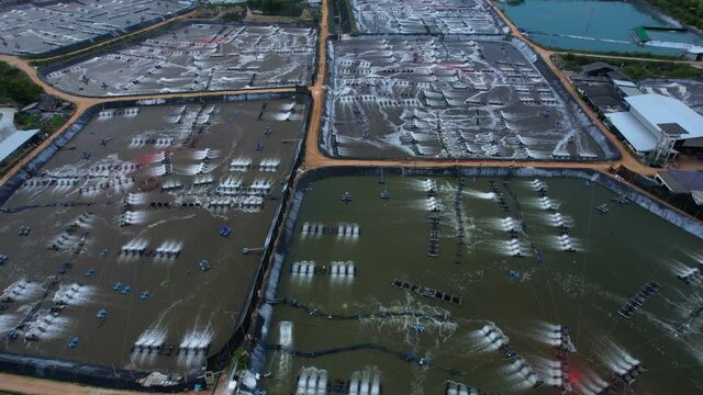 shrimp farm, prawn farming with with aerator pump oxygenation water near ocean. aerial view fish farm with ponds growing fish and shrimp and other seafood. Fish hatchery pond aerial view aquaculture