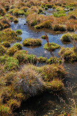 View on Altai lake Dzhangyskol and mountain plateau Eshtykel. North Chui ridge. Russia.