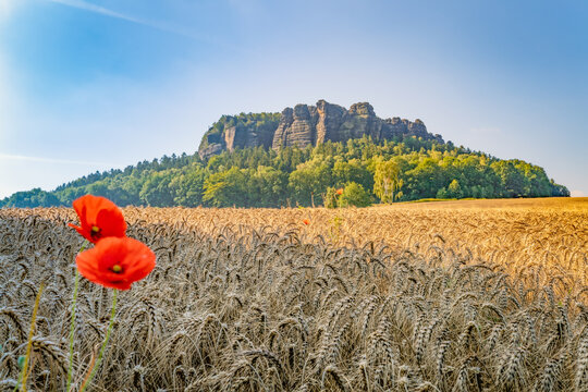 Wandern im Nationalpark  S&auml;chsische Schweiz Pfaffenstein im Elbsandsteingebirge