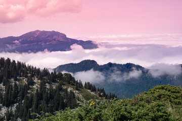 Typical Chartreuse landscape with the sun above the clouds