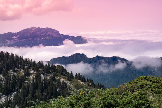 Typical Chartreuse landscape with the sun above the clouds