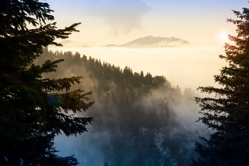 Typical Chartreuse landscape with the sun above the clouds