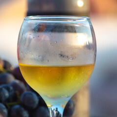 Fresh beer in a glass on the table.