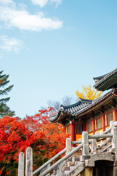 Bulguksa temple at autumn in Gyeongju, Korea