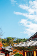Fototapeta premium Bulguksa temple at autumn in Gyeongju, Korea