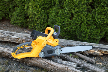 New chainsaw with old wood in the garden side view