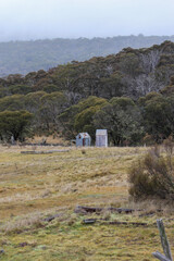 person walking on the beach