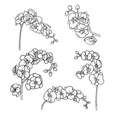 Naklejka premium set outline design of orchid bouquet