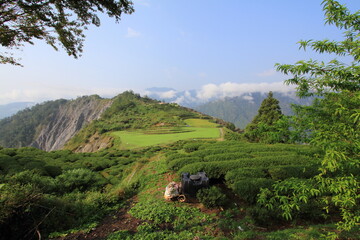Tea plantation surrounded by mountains and clouds in Taiwan