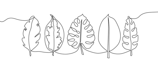 Exotic leaves continuous line drawing set. One line art of banana palm leaf, plants, herb, tropical leaves, jungle botanical.