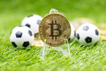 Bitcoin with soccer ball is on green grass