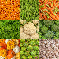 Various Herbs And Vegetables: of green artichokes, Yellow Cherry Tomato, young Carrot, stems of asparagus, colorful pumpkins, Water Spinach Splitter, cauliflowers, broccoli, Garlic Cloves