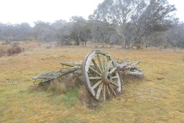 old cannon
