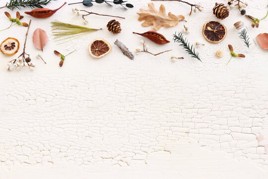 Top view image of autumn forest natural composition over wooden white background .Flat lay. Banner