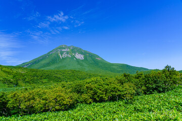 Fototapeta premium 北海道道東 知床峠での羅臼岳