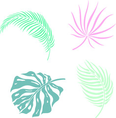 Leaves isolated on white. Tropical leaves. Hand drawn vector illustration
