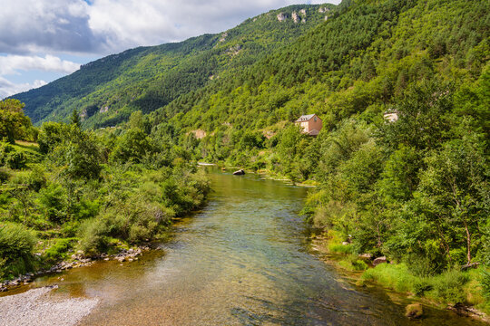 Gorges du river Tarn in Parc National des Cevennes, France. UNESCO Biosphere Reserve