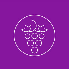 grape vector thin line icon