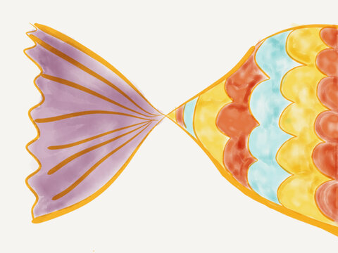Fish tail illustration
