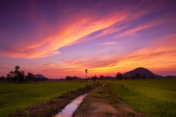 Fototapeta na wymiar Beautiful sunset twilight sky with river cannel at the rice farm field with mountain background landscape