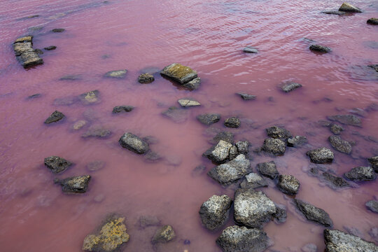 Saturated pink water of Saki lake, Crimea. A deposit of medicinal mud.