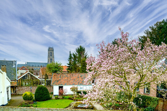 The skyline of Zaltbommel, Gelderland Province, The Netherlands