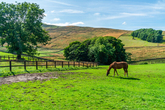 Yorkshire Dales, UK