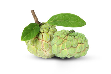 Obraz premium custard apple isolated on white background.