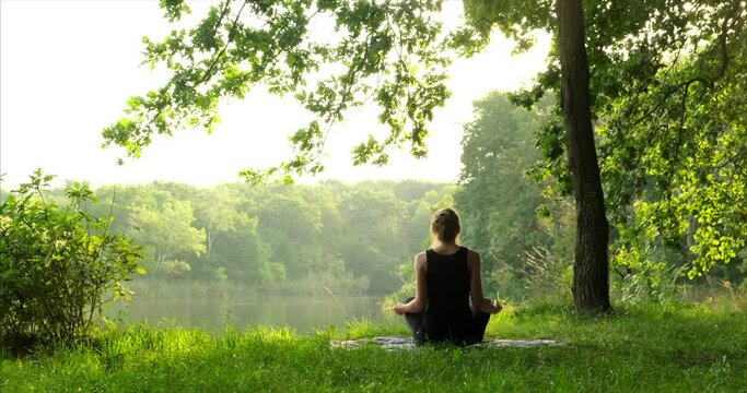 a person meditating in a lush green forest, symbolizing the "nature vs. noise" struggle.