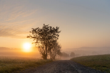 Sonnenaufgang mit Nebel im Elbsandsteingebirge