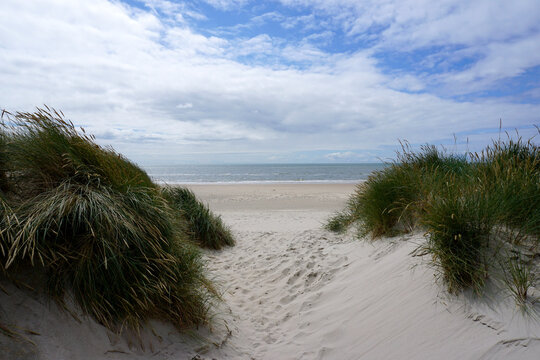 kleiner D&uuml;nenweg zum Skallingen Strand in D&auml;nemark