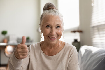 Happy positive elderly woman making like gesture, showing thumb up at camera with toothy smile,...