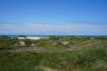 Blick über die Dünen in Blavand in Dänemark