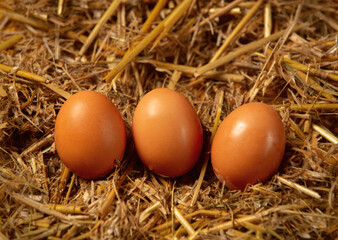 Three village eggs on straw. Side view