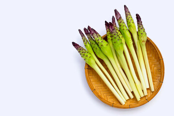 Curcuma sessilis flower in bamboo basket on white background.