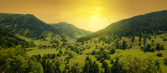 Panoramic view of the sunrise in the forest hills