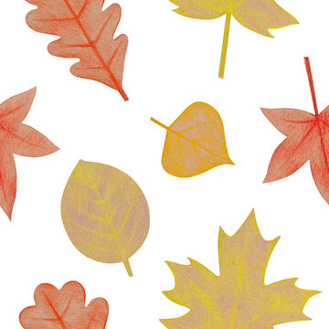 Seamless pattern with hand drawn yellow, red maple and oak leaves with a rough texture. Plant drawing with colored pencils on a white background. Autumn illustration, art design for fabric, paper