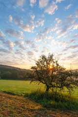 Fototapeta na wymiar Sonnenaufgang über dem Odenwald