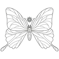 Butterfly. Outline vector illustration for coloring book. Antistress for adults and children. 