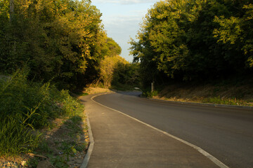 Obraz premium road in autumn