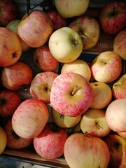 apples