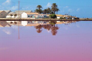 Nice landscape of stagnant lagoon for the production of salt in San Pedro del Pinatar, Murcia