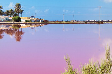 Fototapeta na wymiar Nice landscape of stagnant lagoon for the production of salt in San Pedro del Pinatar, Murcia