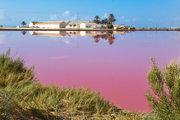 Nice landscape of stagnant lagoon for the production of salt in San Pedro del Pinatar, Murcia